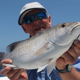 Porgy Fillets: Buy Fresh Fish Online With Fast Overnight Shipping