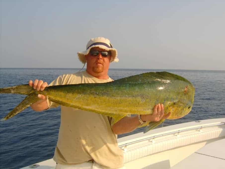 Mahi Mahi Fish For Sale Online With Fast Overnight Shipping
